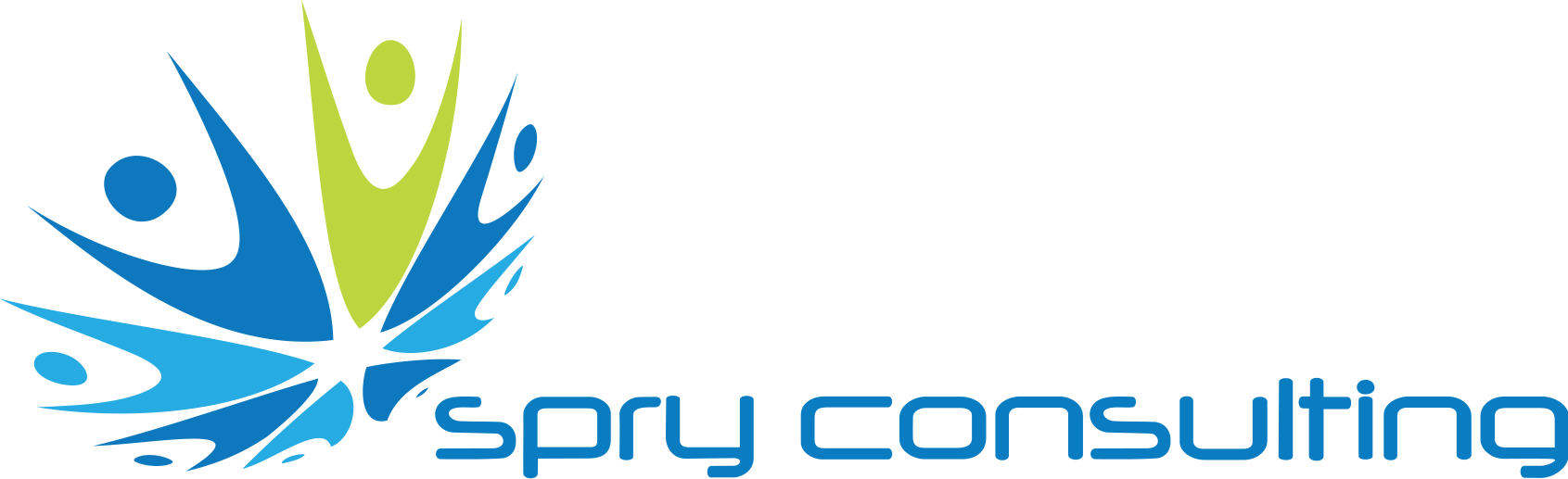 Consultation and Advisory Services in IT application Domains for Large and SME